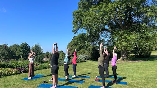 A group of people stretching up and taking part in an outdoor yoga session on the lawn